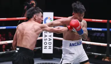 Trinidad beats former titleholder Ancajas by unanimous decision