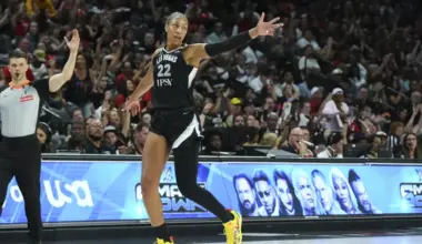 Aces' Chelsea Gray said what we're all thinking about A'ja Wilson image