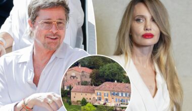 Brad Pitt's legal wins keep coming as Angelina Jolie winery battle rages on