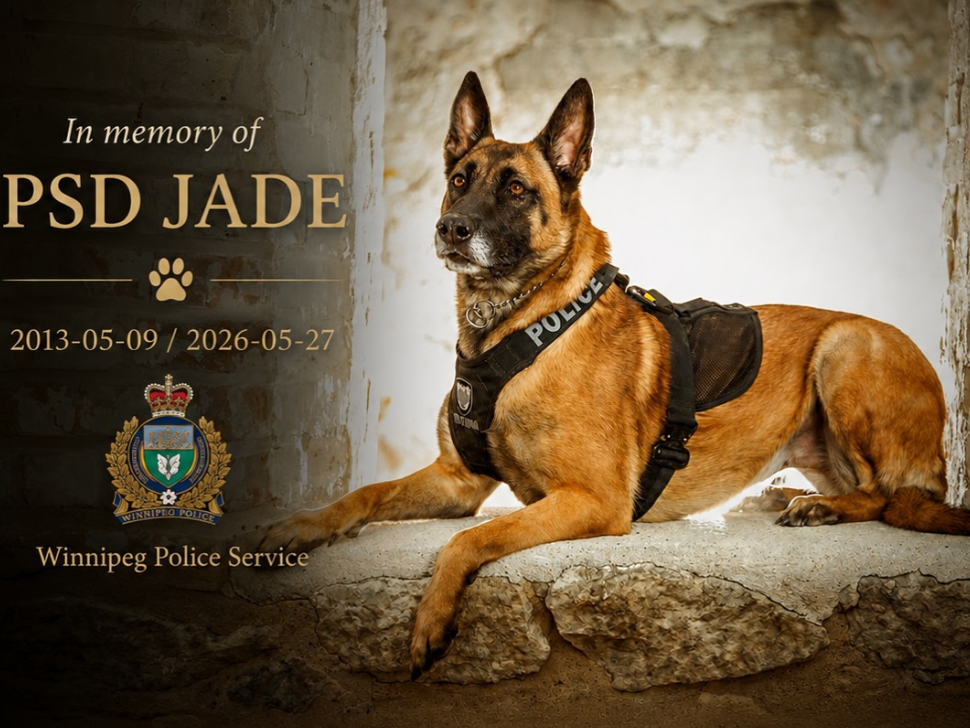 Retired police service dog Jade remembered by Winnipeg Canine Unit