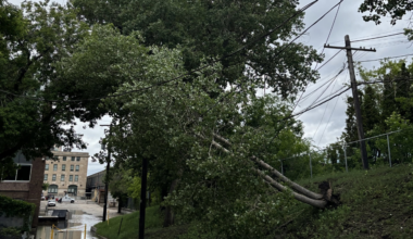 Thousands regain power as Manitoba Hydro crews continue storm cleanup