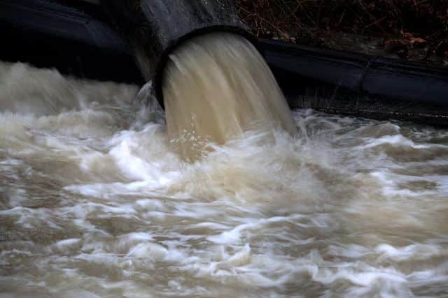 Health experts to screen US wastewater for disease outbreaks during World Cup