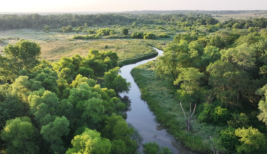 Google announces water stewardship commitments and initiatives