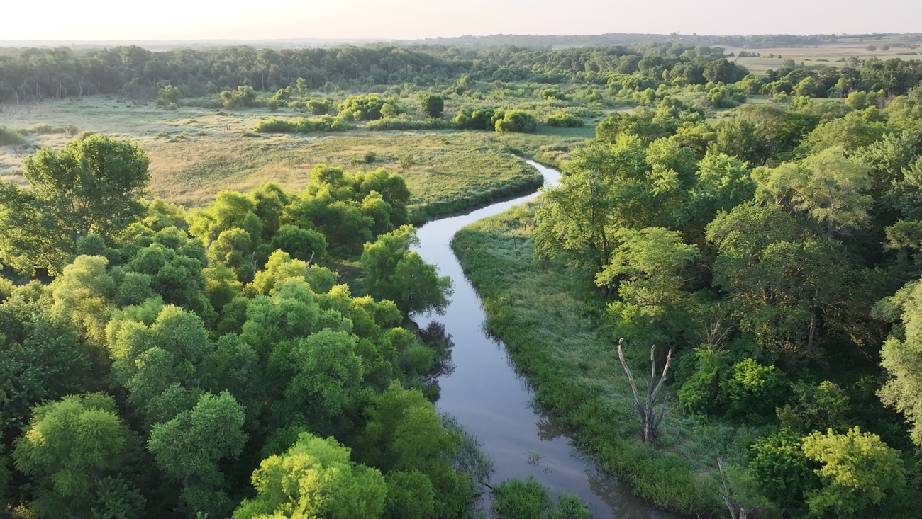 Google announces water stewardship commitments and initiatives