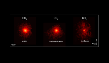 Webb