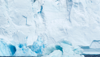 Scientists say the West Antarctic Ice Sheet could collapse with very little additional warming and the four metres of sea level rise that would follow cannot be stopped once it begins