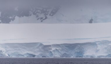 West Antarctic Ice Sheet Collapse Could Lead to 4 meterss sea level rise