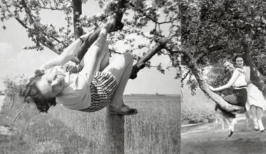 Two black-and-white photos: on the left, a woman in a striped skirt playfully hangs from a tree branch in an orchard; on the right, two women sit smiling together on a tree branch.