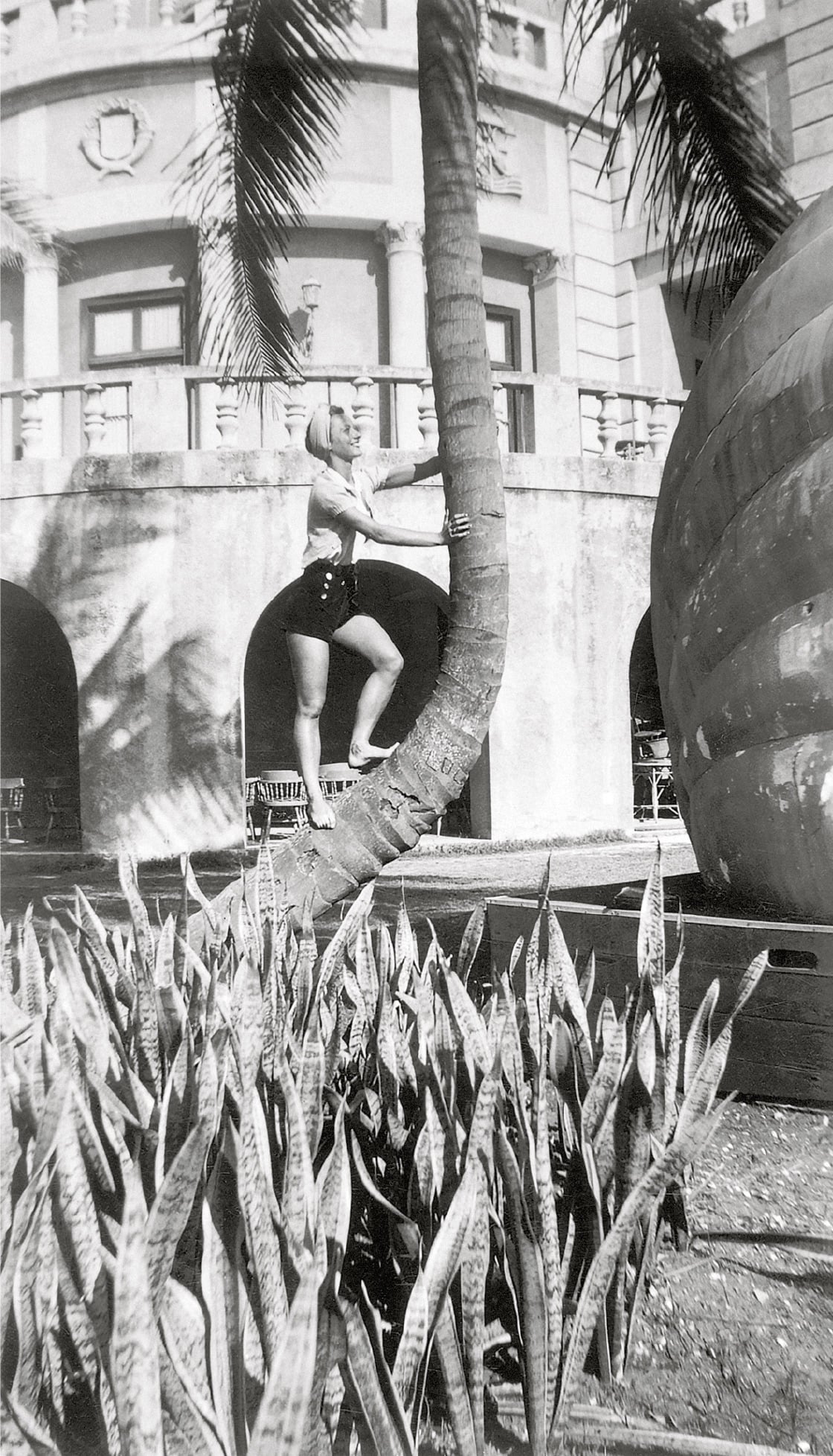 A person in swimwear climbs a coconut palm tree in front of a large building with arched windows and balconies, surrounded by tropical plants and a large round structure. The scene appears sunny and playful.