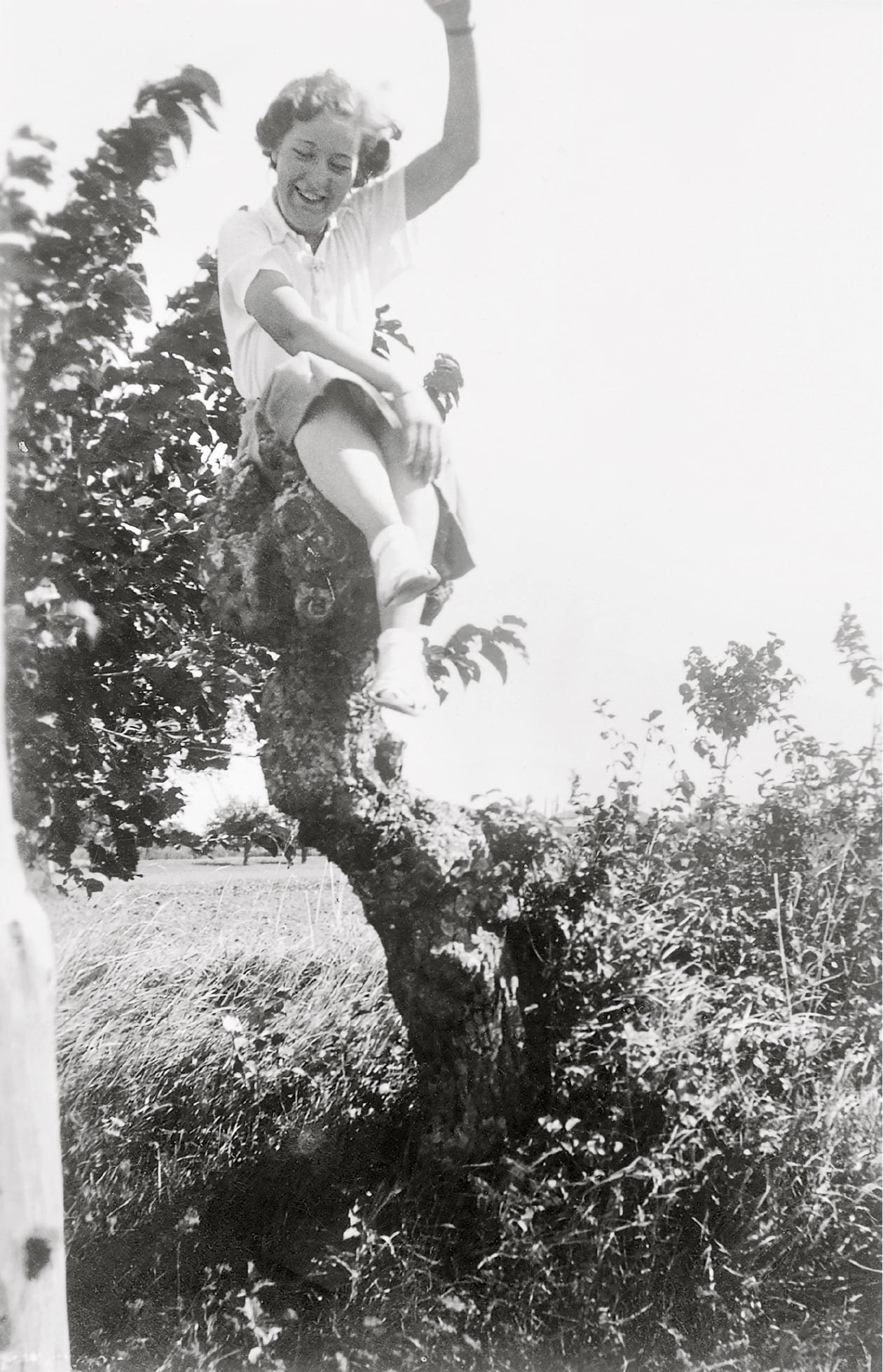 A smiling woman in a light dress sits on a gnarled tree trunk outdoors, with one arm raised and grassy fields and bushes in the background. The scene appears sunny and cheerful.