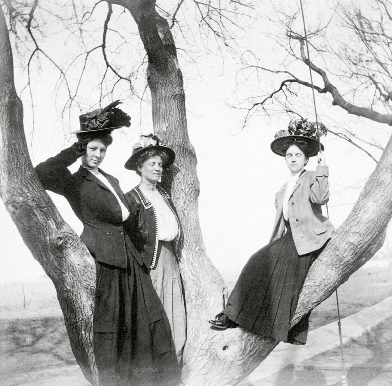Three women in long skirts and elaborate hats pose on the branches of a large tree. Two stand on separate branches while one sits on a swing attached to the tree. The background shows bare branches and an open landscape.