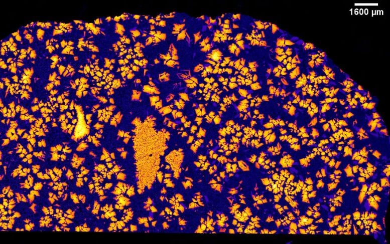X Ray Image of NWA 12774