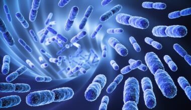 Probiotic–phytonutrient blends may boost bowel function and other gut health measures