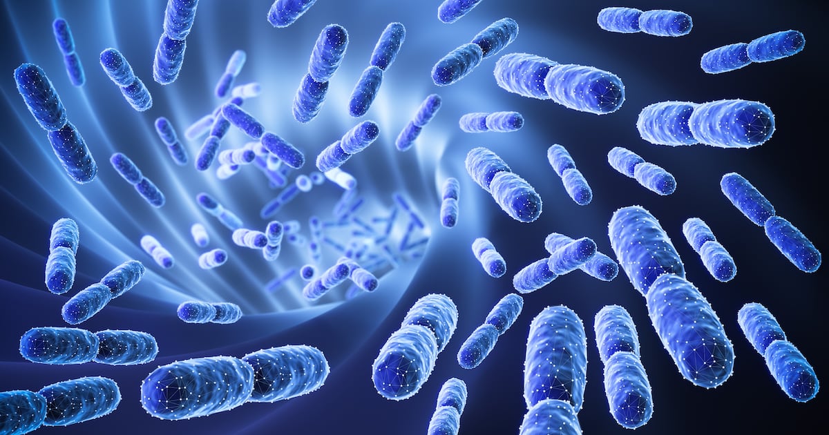 Probiotic–phytonutrient blends may boost bowel function and other gut health measures
