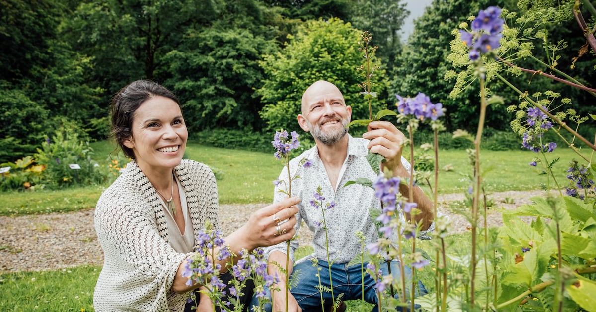 The Irish herbalists finding new purpose in ancient remedies – The Irish Times