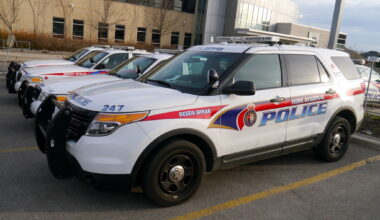 Markham carjacking suspect charged; 2 others still wanted