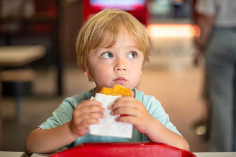 Young Child Eating Fast Food
