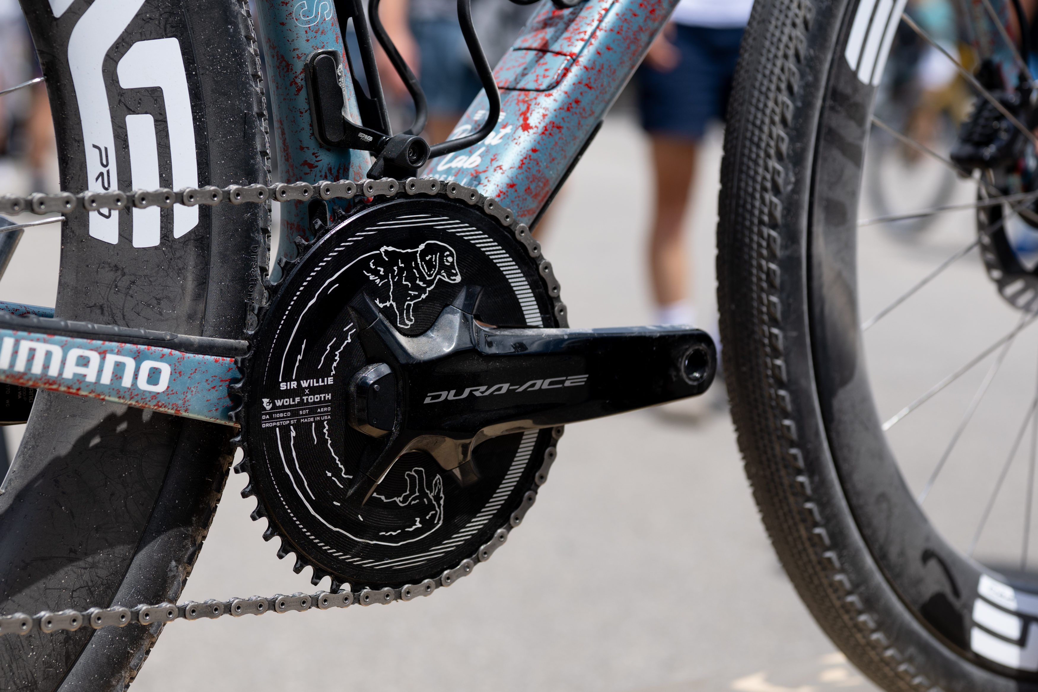 Alexey Vermeulen's custom painted Enve Mog dog bike for Unbound Gravel