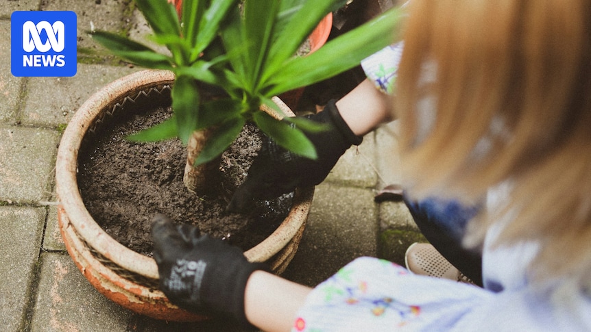 Exploring the link between gardening and better mental health