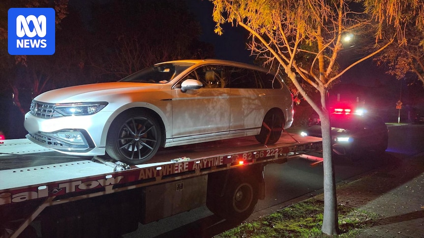 Former professional cyclist Rohan Dennis reported for driving while disqualified, ABC understands