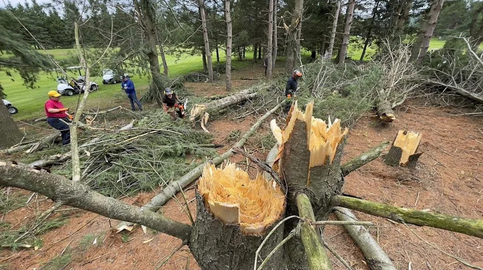  Cleanup at the Hammond Golf and Country Club after the derecho storm felled several hundred mature trees there in May 2022.