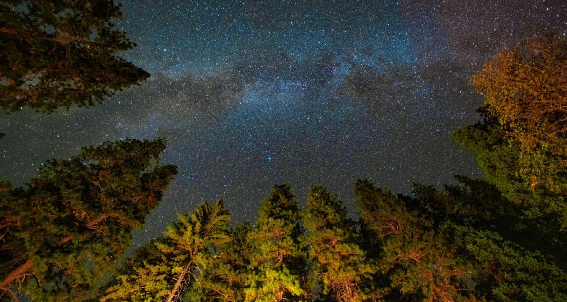 Light pollution may be erasing millions of dollars in value at US dark-sky parks