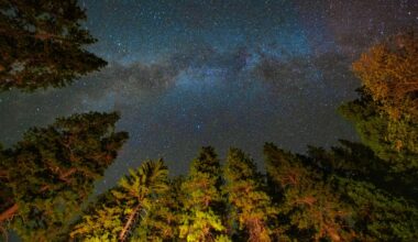 Light pollution may be erasing millions of dollars in value at US dark-sky parks