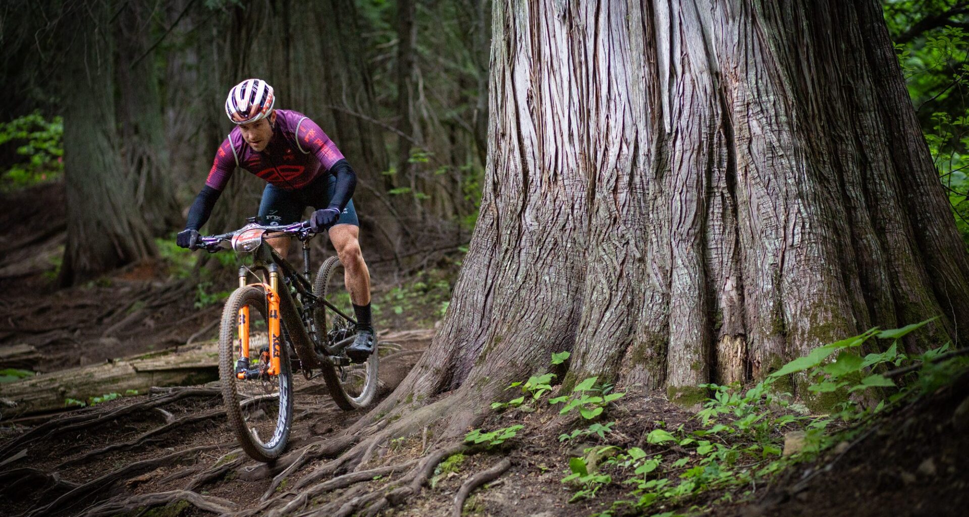 Disera and Cross win inaugural Singletrack 3 in Fernie