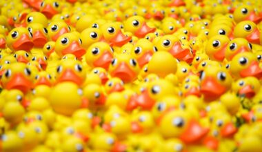 lots of rubber ducks crowded together