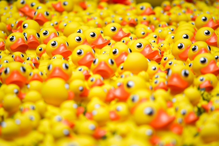 lots of rubber ducks crowded together