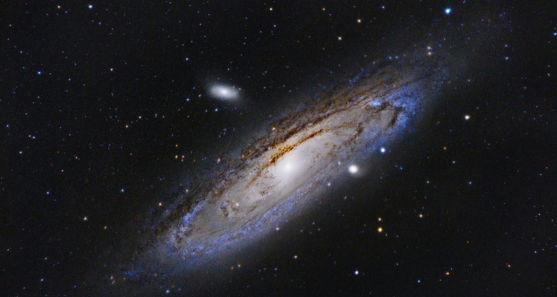 Animals in the Universe - CounterPunch.org