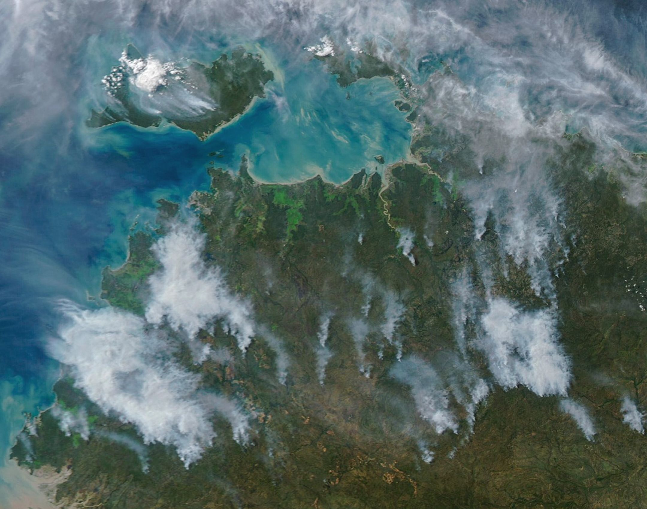 Several gray smoke plumes are visible drifting over a green landscape.