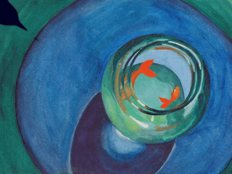 Cecilia Reeve makes paintings that move and animations you can step inside