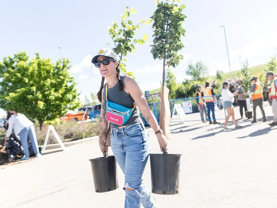Catherine Simoneau carries trees back to her truck from the City of Calgary’s Branching Out Tree Program giveaway on Saturday. Brent Calver/Postmedia