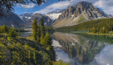The Alberta you understand only after living here