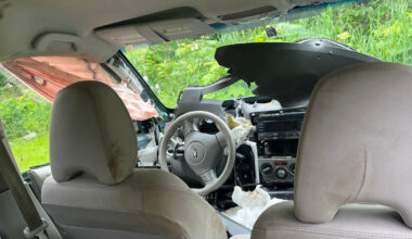 Hungry bear rips apart vehicle in the BC Interior