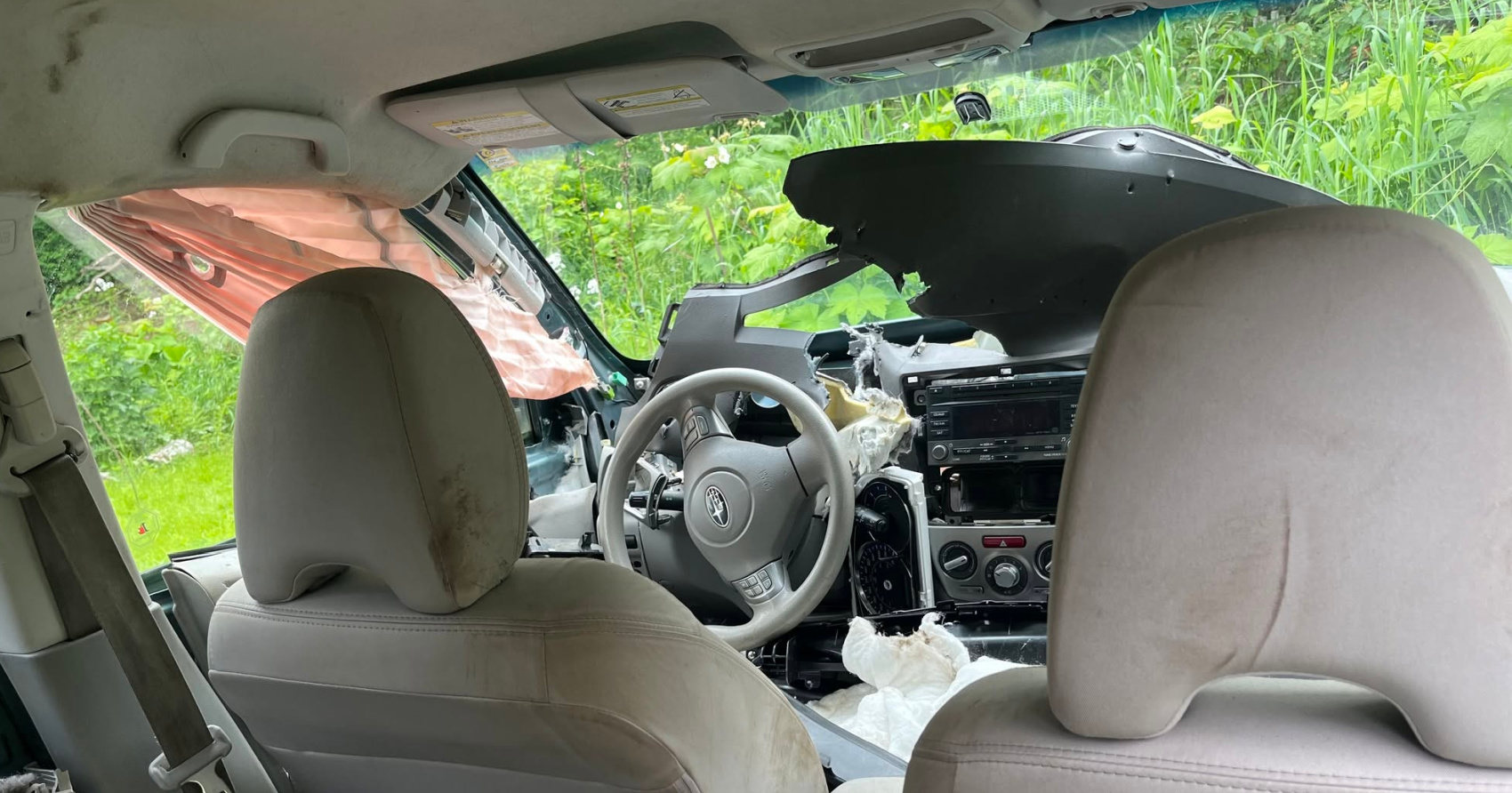 Hungry bear rips apart vehicle in the BC Interior