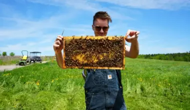 Beekeeper Dan with honey from hives at cemeteries around the GTA