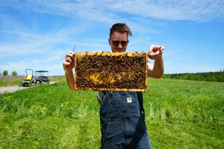 Beekeeper Dan with honey from hives at cemeteries around the GTA
