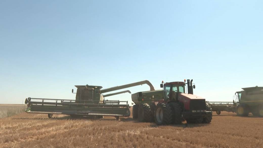 Click to play video: 'Business Matters: Canada well-positioned to deal with global fertilizer shortage'