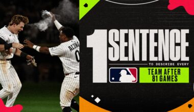 1 Sentence to Describe Every MLB Team Halfway Through 2026 Season