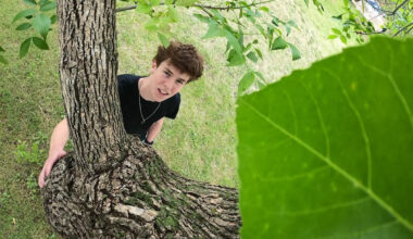 Seeing the forest for the trees: Edmonton high school student wins $100K scholarship for ancient tree tracker