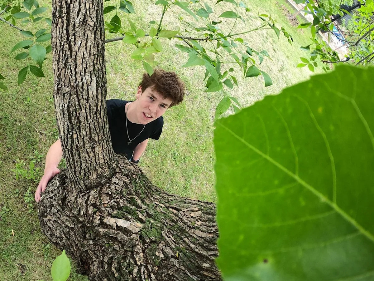 Seeing the forest for the trees: Edmonton high school student wins $100K scholarship for ancient tree tracker