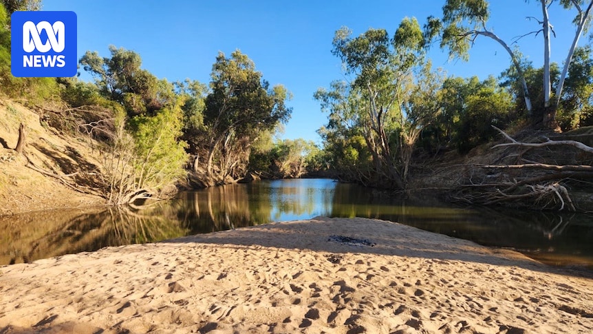 Suspected saltwater crocodile takes dog at Flinders River near Richmond