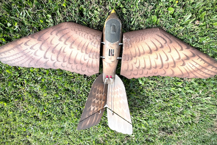 A bird like drone sitting on grass.