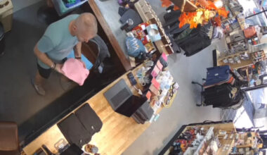 Black bear wanders through Colorado store until an employee claps it back outside