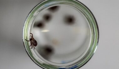 California resident becomes just the fourth person in the world to become infected with tick-borne illness, officials say