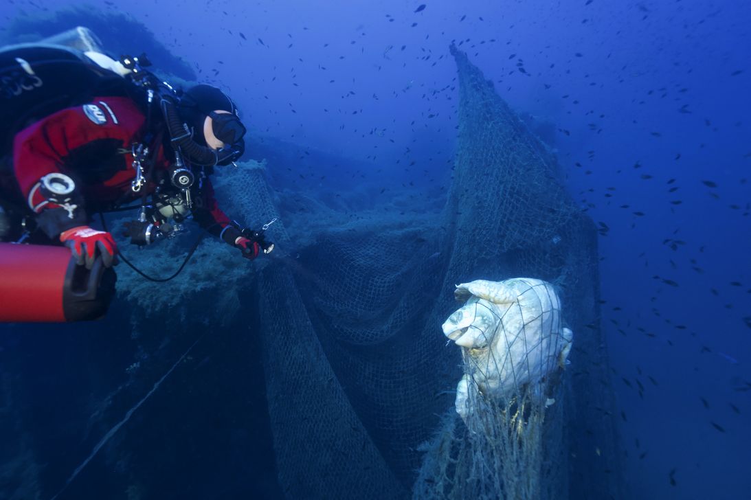 Turtles are among the many animals to become caught up in discarded fishing nets, proving fatal for marine species.