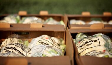 CFA pleased to see “renewed focus” with Ottawa’s National Food Security Strategy | GX94 Radio - Now That's Country!