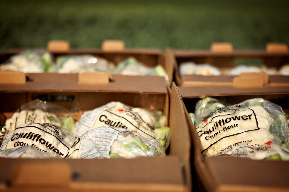 CFA pleased to see “renewed focus” with Ottawa’s National Food Security Strategy | GX94 Radio - Now That's Country!